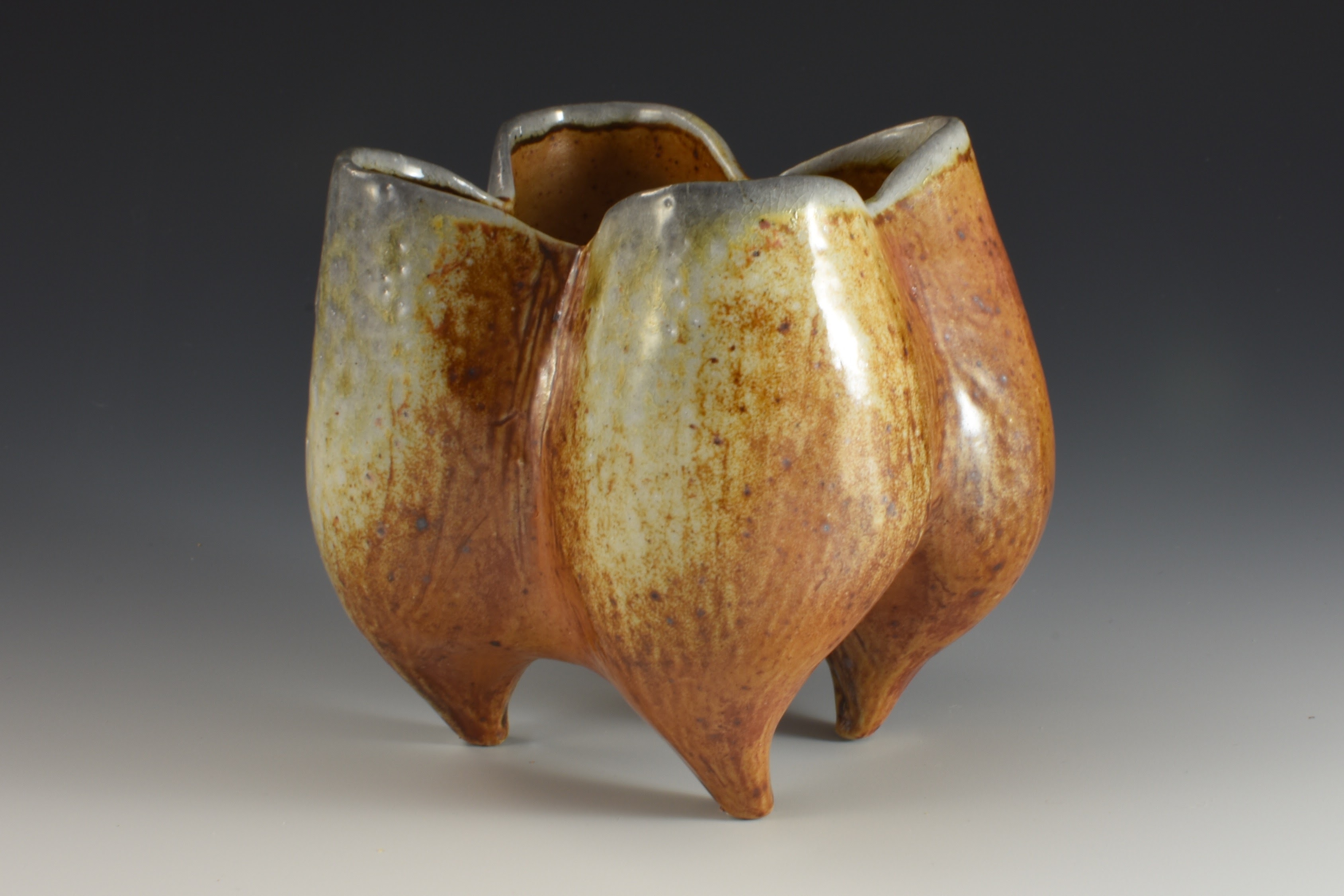 Prize winner in the National Bonsai Pot Competition 2015, Kusamono / Accent Plant Category.